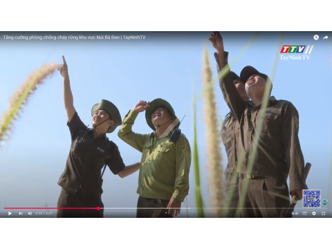 Tăng cường phòng chống cháy rừng khu vực Núi Bà Đen | TayNinhTV
